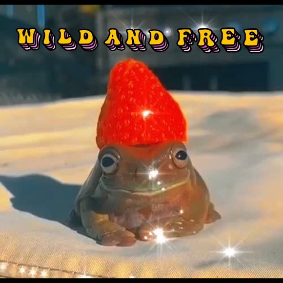 Curious Uni Student - Picture 1 of 1